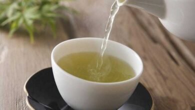 chá branco emagrece e contém vários benefícios