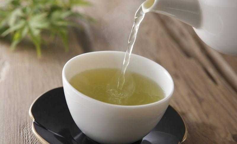 Chá branco emagrece e contém vários benefícios
