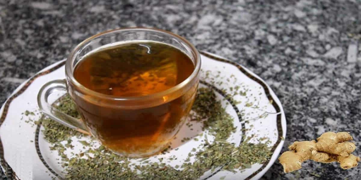 chá de orégano com gengibre: confira os vários benefícios para