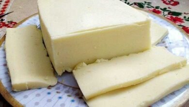 queijo mussarela caseiro fácil e pratico
