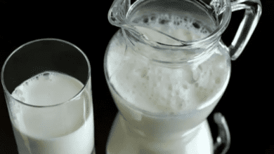 Como fazer leite de aveia caseiro