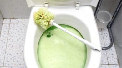 5 Técnicas Infalíveis para desentupir vaso sanitário
