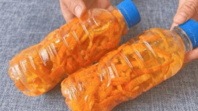 Não jogue fora as cascas de laranja coloque-as em um frasco e adicione um pouco de vinagre vale ouro em casa