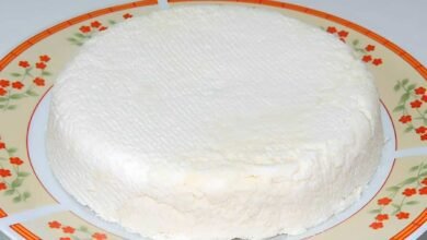 Queijo caseiro delicioso e fácil de fazer com apenas 3 ingredientes