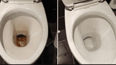 Técnica imbatível para deixar o fundo do vaso sanitário completamente limpo: Misturinha eficiente