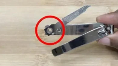 Você não vai mais cortar suas unhas da mesma forma depois de ver este truque