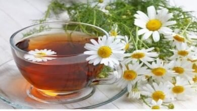 Aprenda agora o segredo para um Chá de Camomila relaxante perfeito