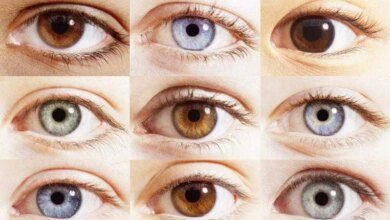 Os significado da cor dos olhos ed