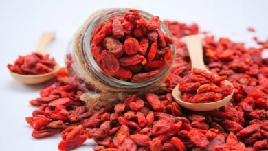 Tudo sobre Goji Berries: O Superalimento que Você Precisa Conhecer